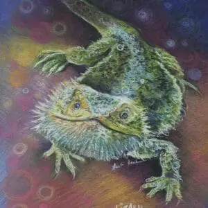 Close-up of a colorful, textured lizard on a vibrant background.