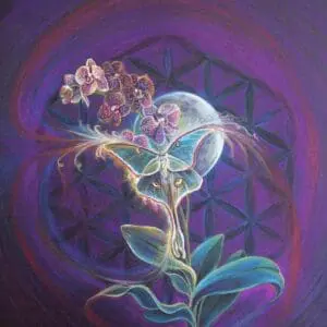 A glowing butterfly perched on a blooming flower with a mystical purple background.